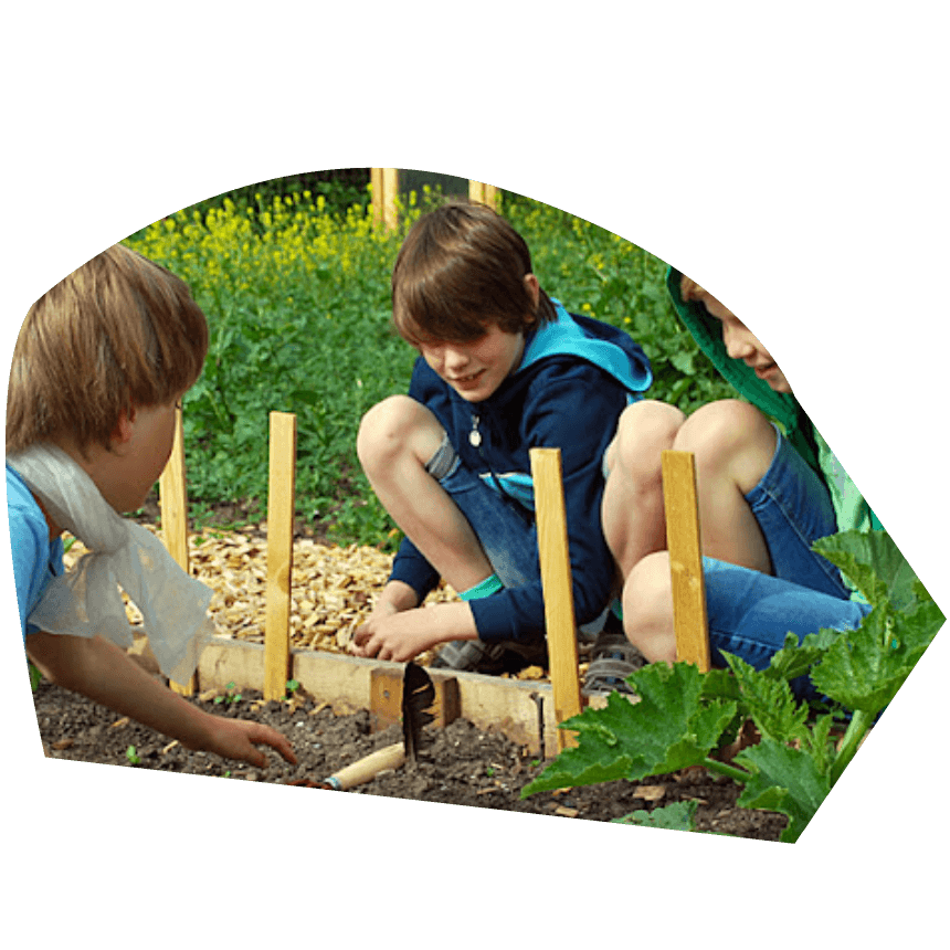 02 Halvbilleder Template 860X860px